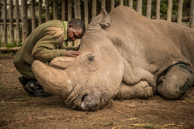 Sudan